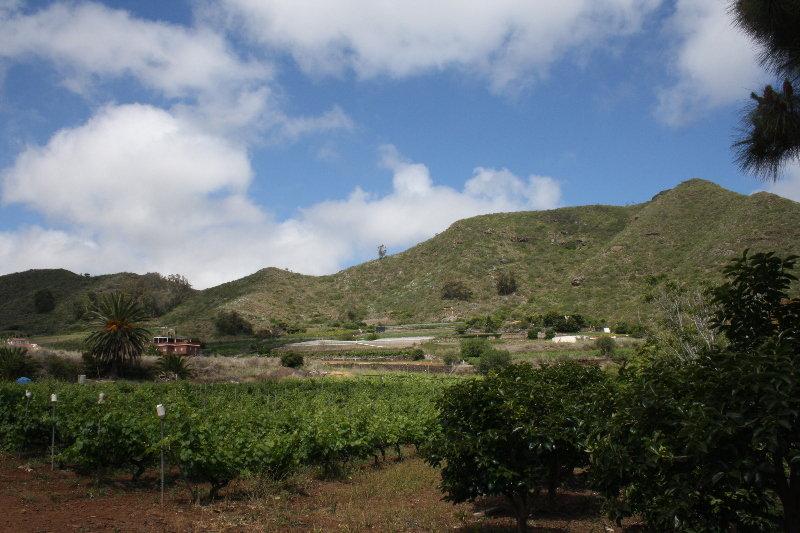 Finca El Vergel Rural Tegueste Eksteriør bilde