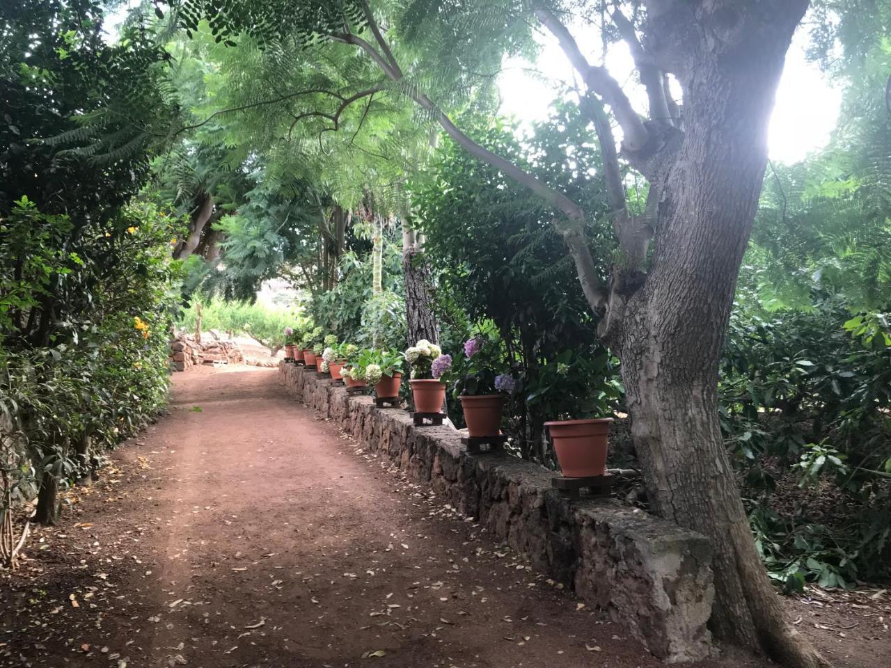 Finca El Vergel Rural Tegueste Eksteriør bilde