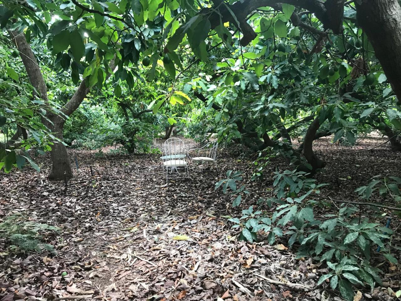 Finca El Vergel Rural Tegueste Eksteriør bilde